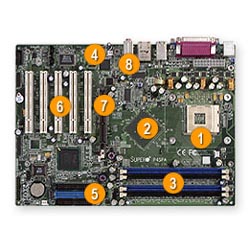P4SPA+ Image