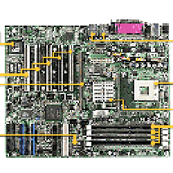 Trinity i845E Image